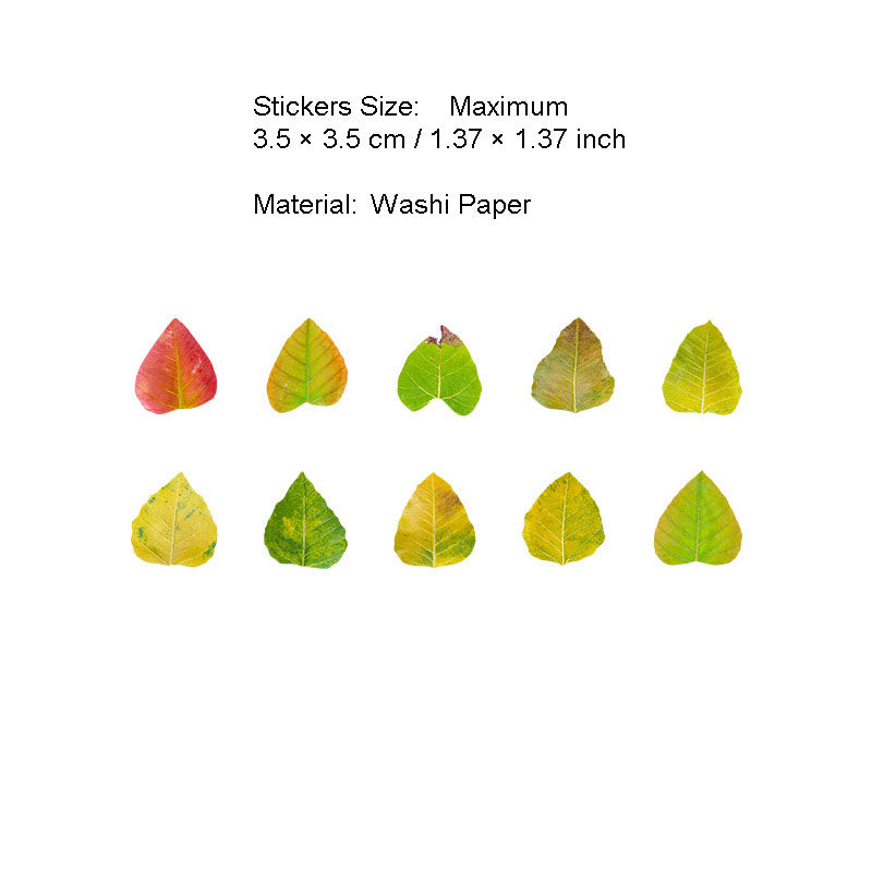 50 Pcs Petal Leaf Washi Stickers XXDLY
