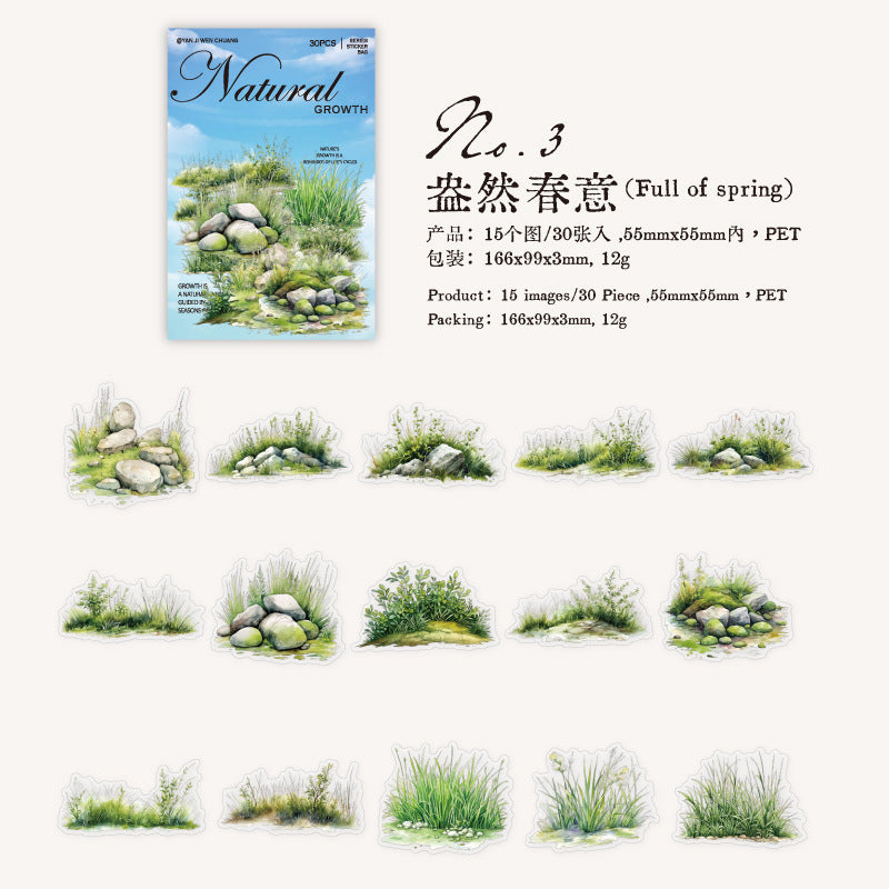 30 Pcs Wild Grass PET Stickers ZRSZ