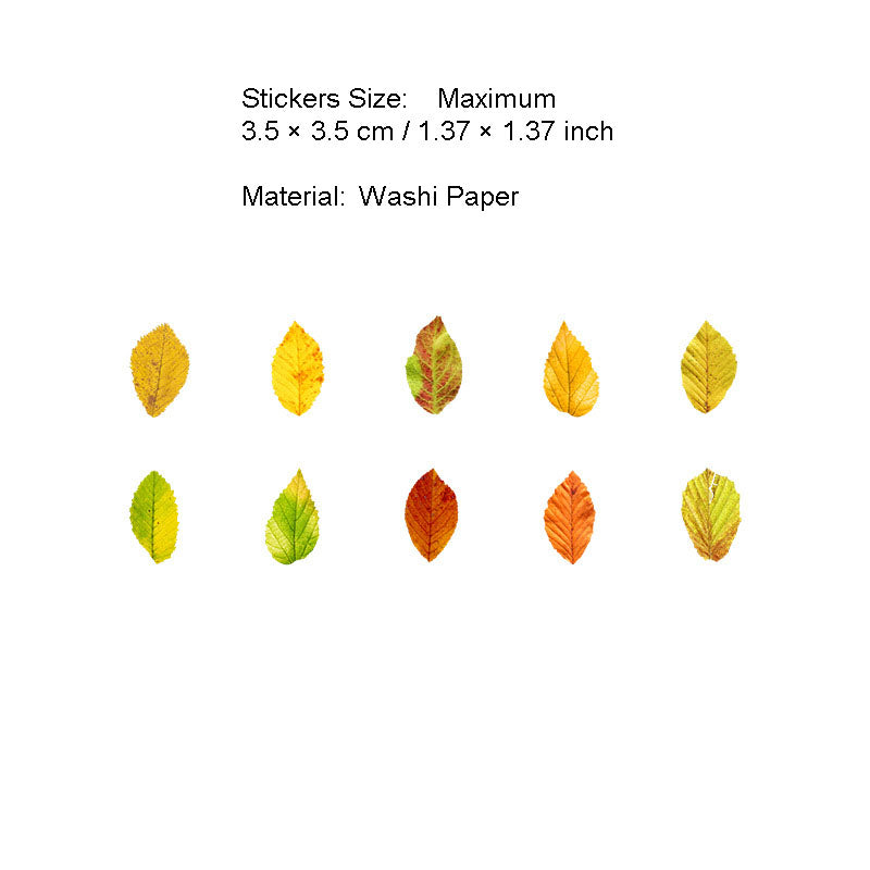 50 Pcs Petal Leaf Washi Stickers XXDLY