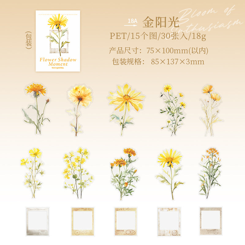 30 Pcs Flower and Frame PET Stickers HYSJ