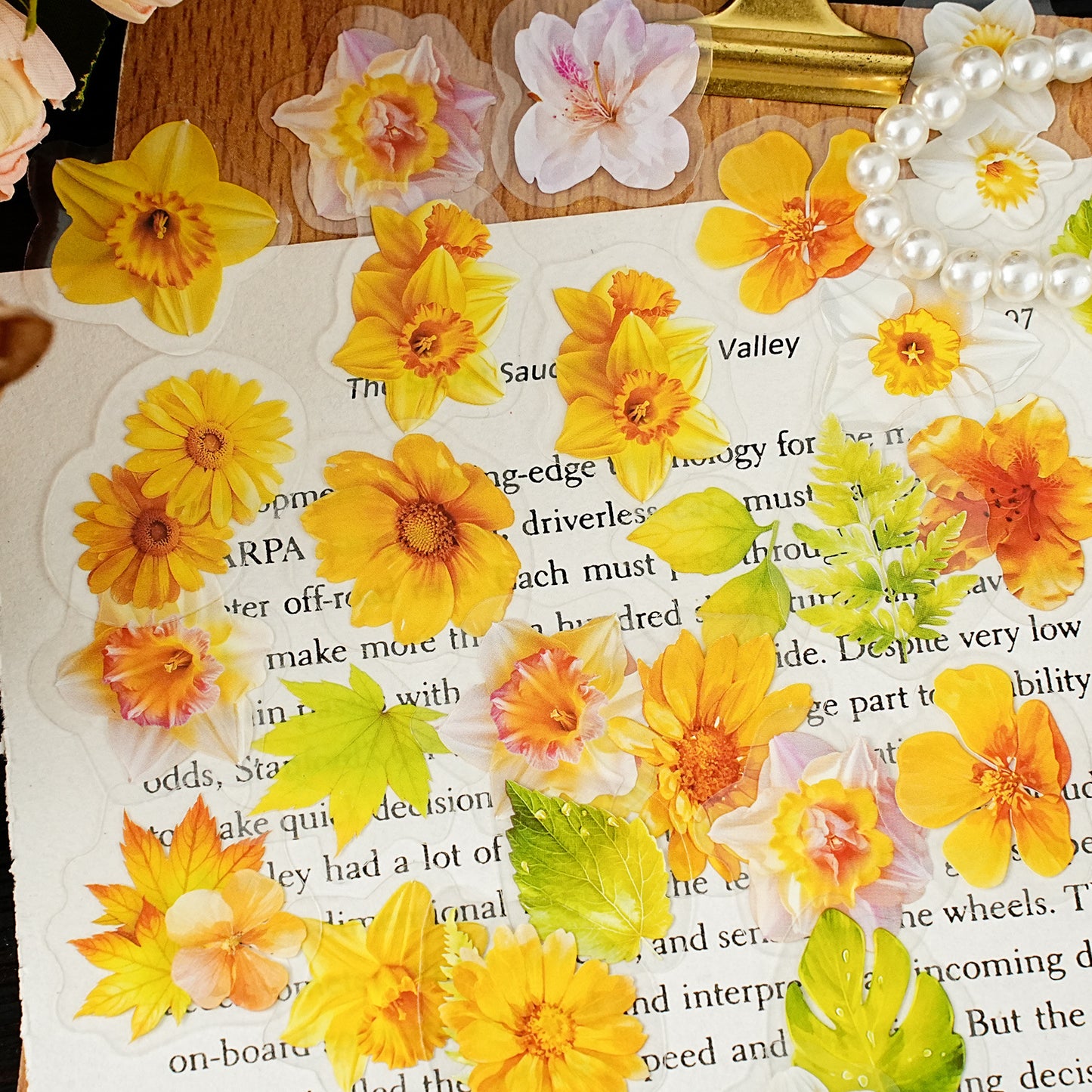 50 Pcs Flower Buttefly PET Stickers HSZDS