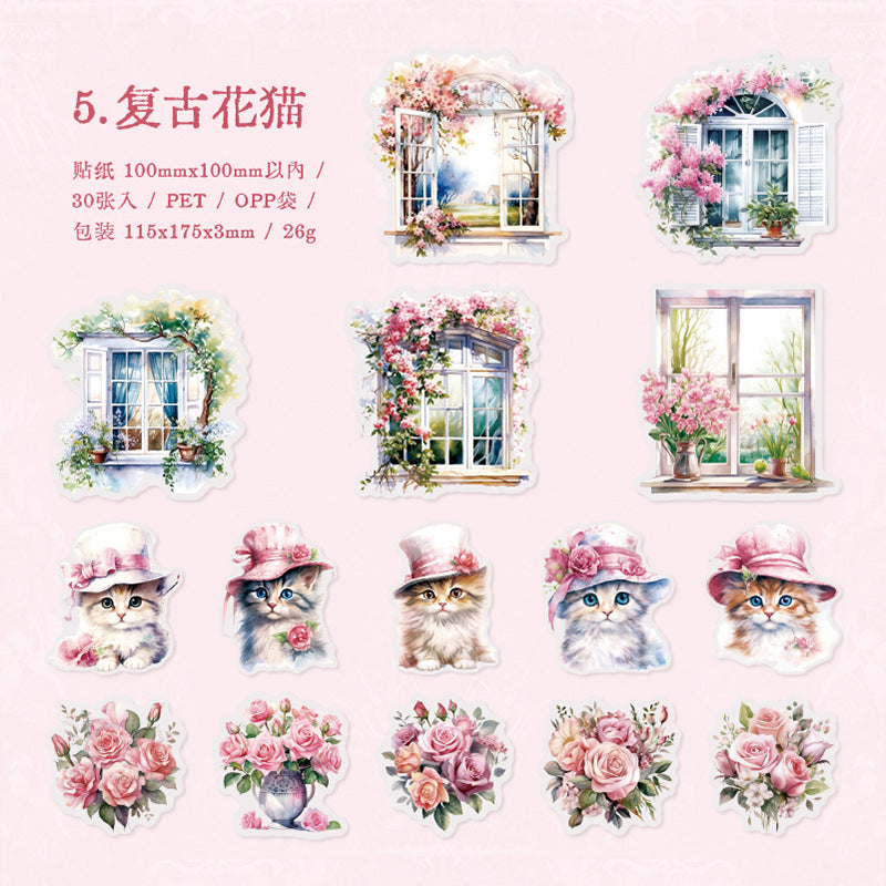 30 Pcs Window Themed PET Stickers LGCT