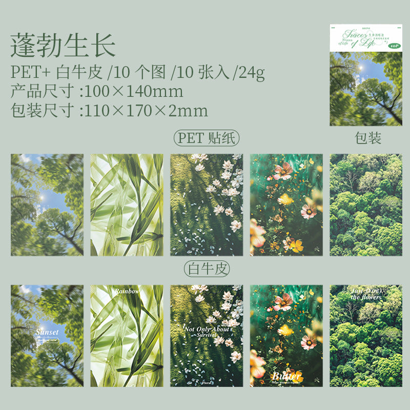 10 Sheets Texture PET Stickers and Paper SMHJ