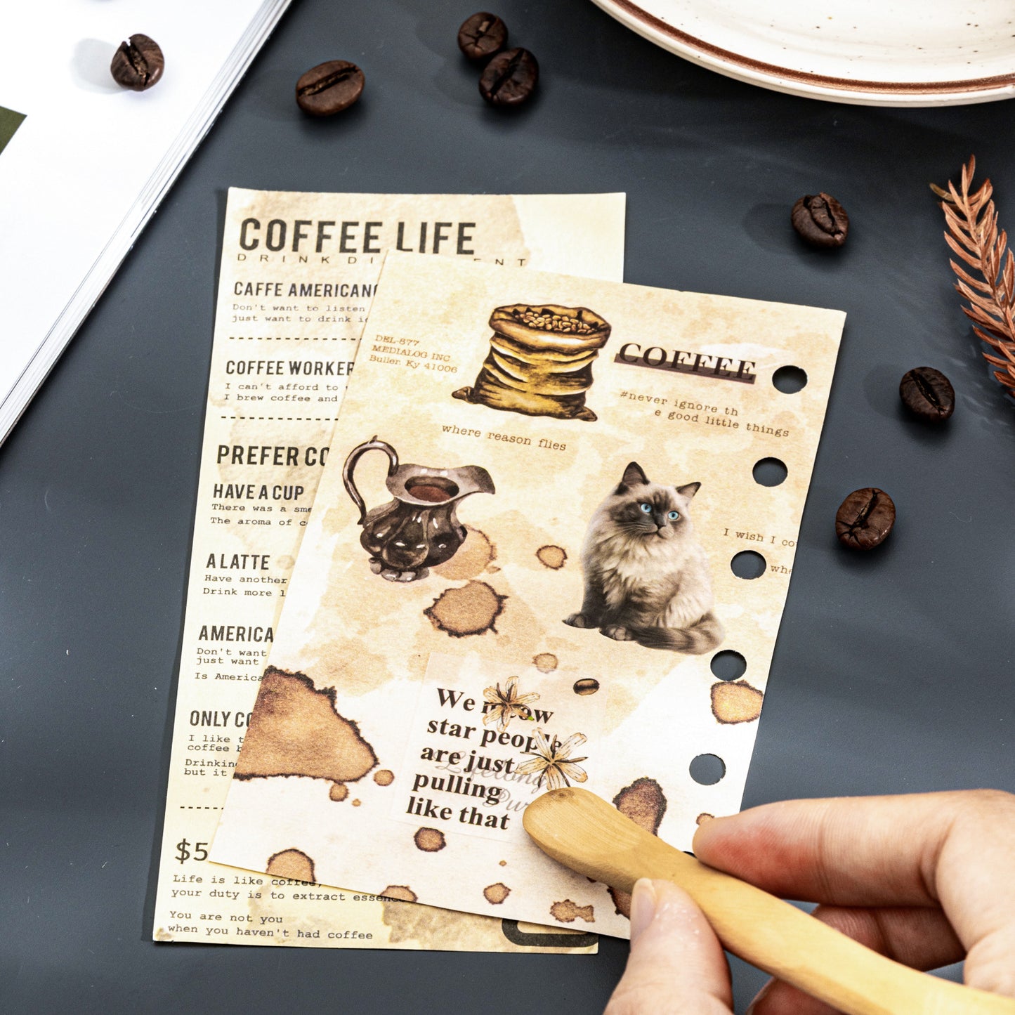 2 Sheets Cat Coffee Transfer Stickers HKFDM