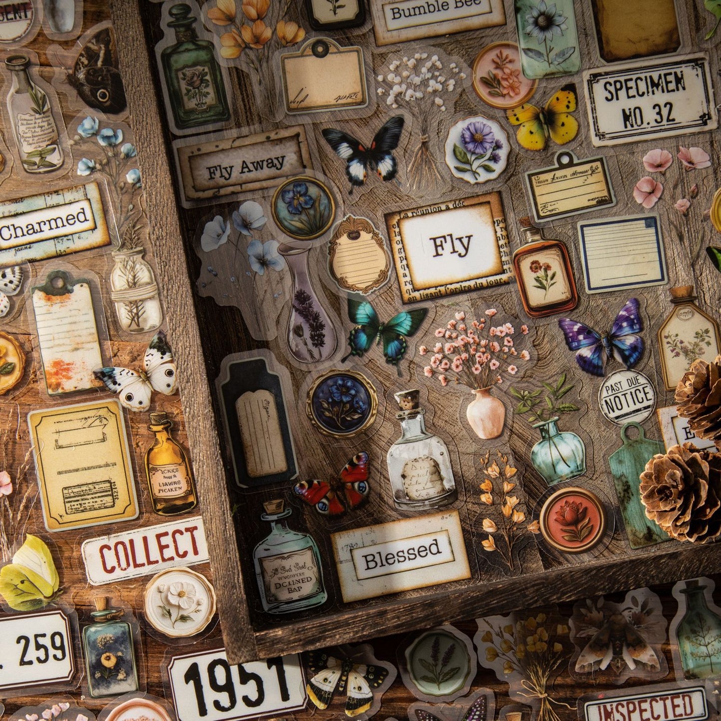 50 Pcs Flower Butterfly PET Stickers MDJM