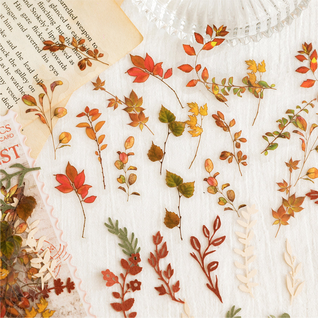 40 Pcs Cutout Paper and Stickers Kit SZYX