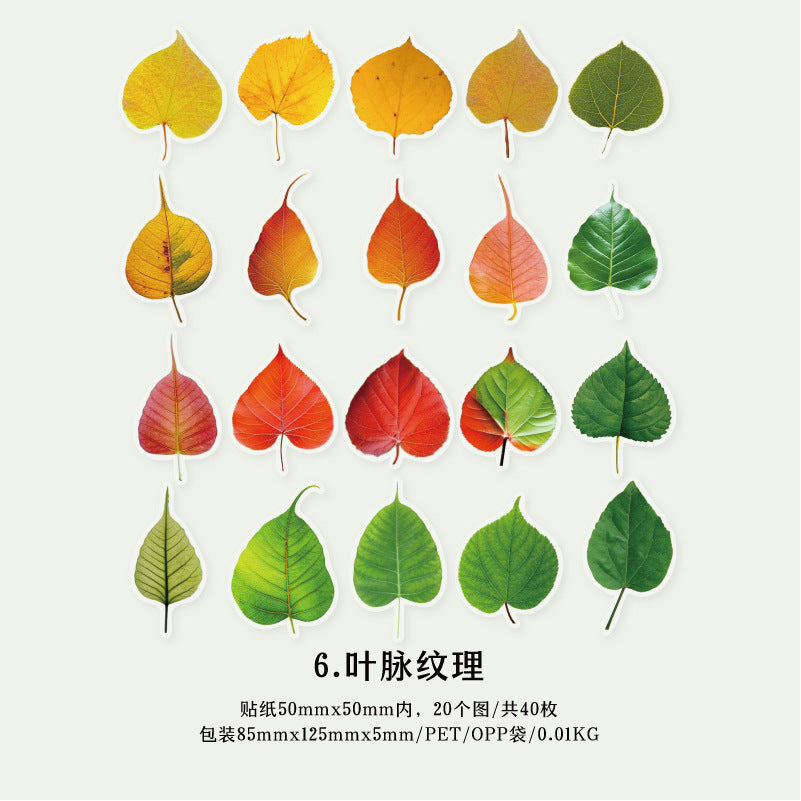 40 Pcs PET Leaf Stickers YZMY