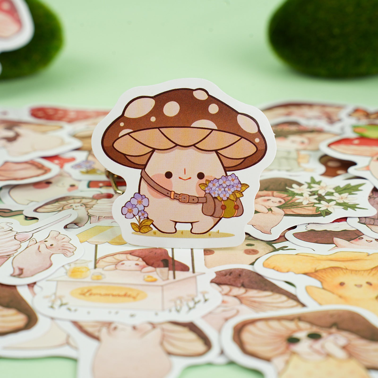 30 Pcs Mushroom Boxed Stickers YKMGT
