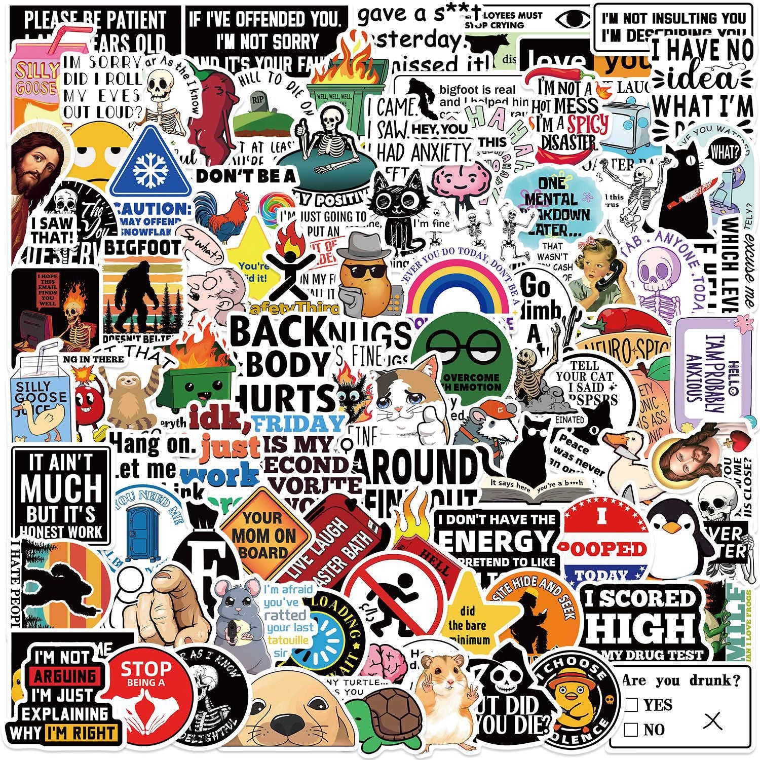 50PCS Funny Sarcastic Meme Vinyl Stickers FUN12