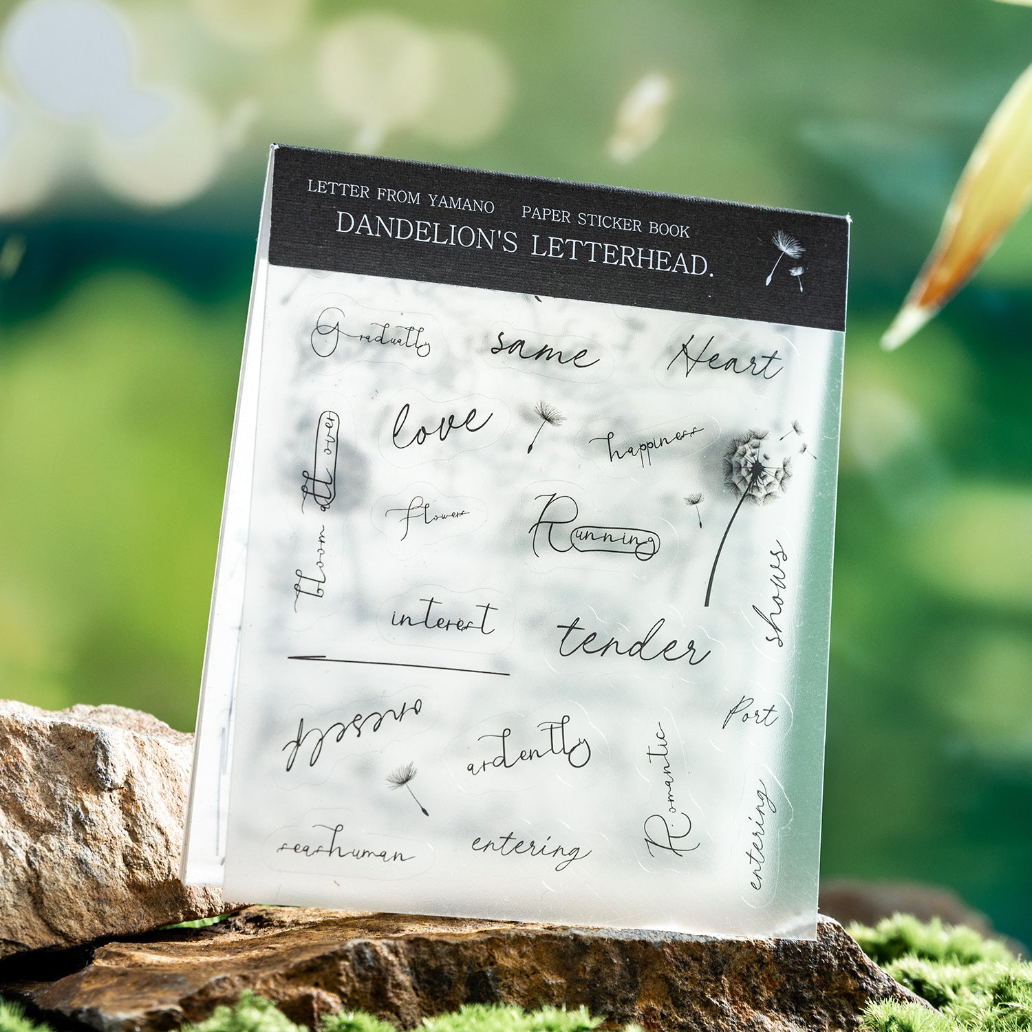 10 Sheet Handwrite Words PET Stickers Book SYSX