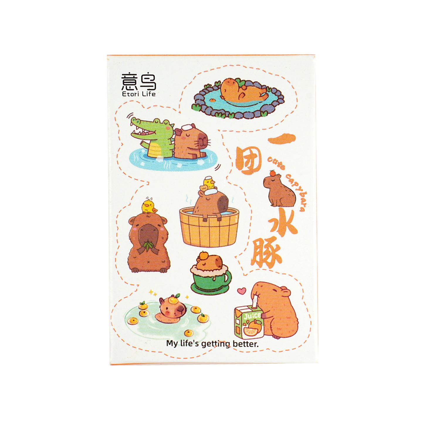 30 Pcs Capybara Boxed Stickers YTST