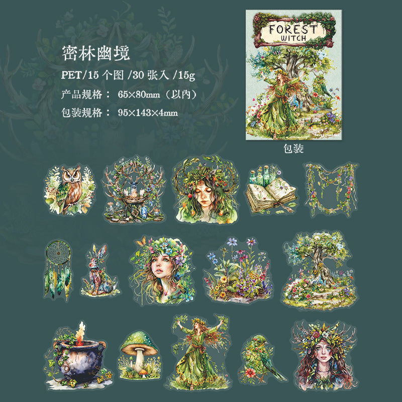 30 Pcs Magic Themed PET Stickers SLNW