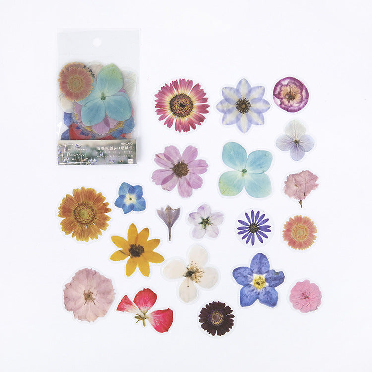 40 Pcs Pressed Flower Petals PET Stickers