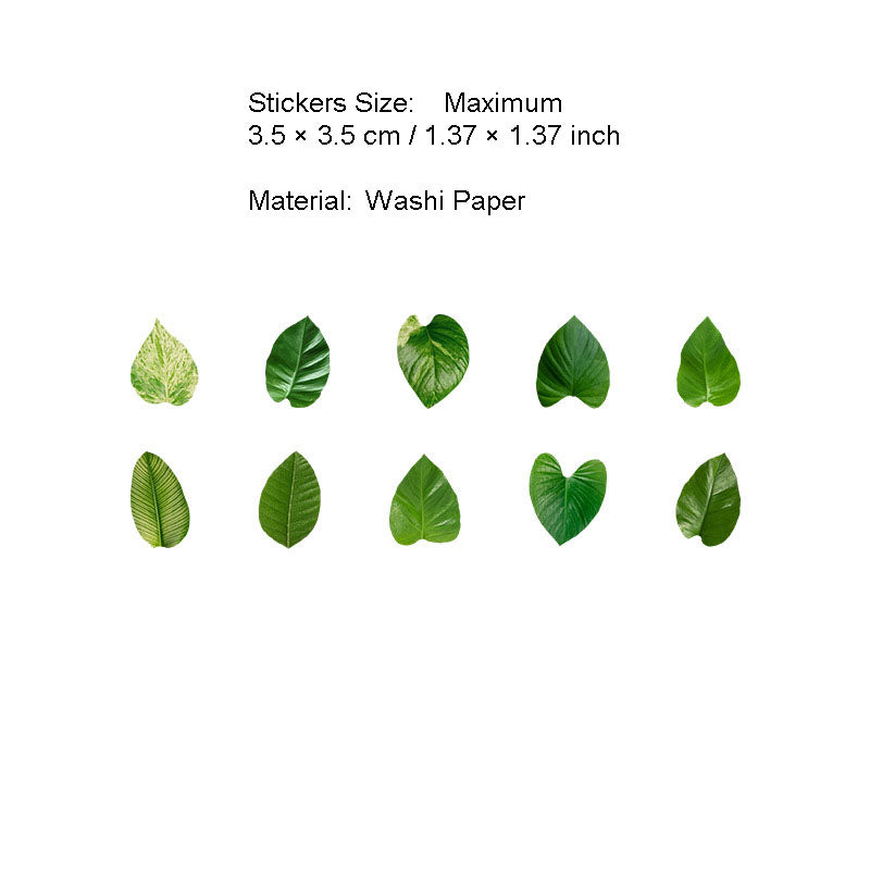 50 Pcs Petal Leaf Washi Stickers XXDLY