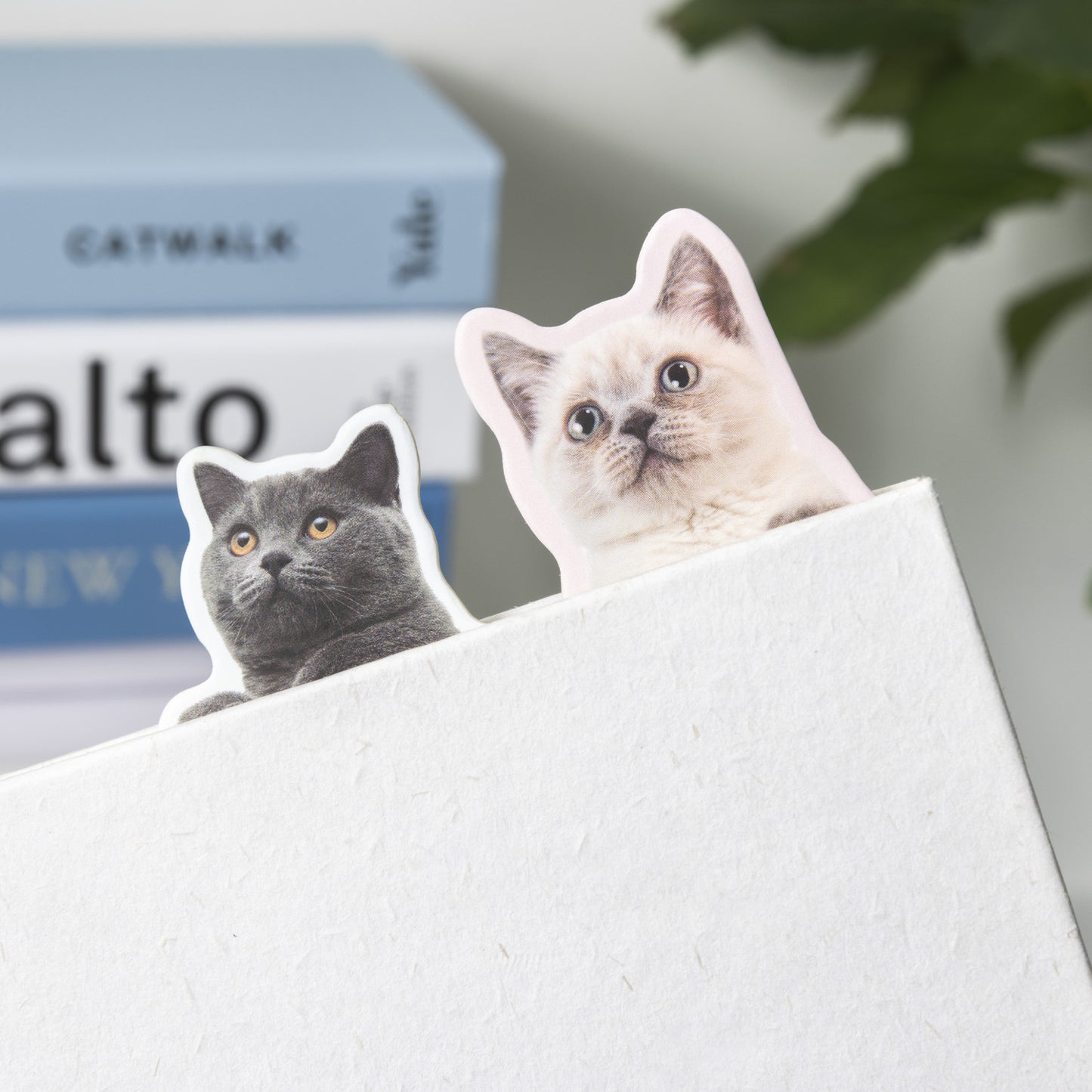 3-Pcs-Cat-Theme-Magnetic-Bookmark