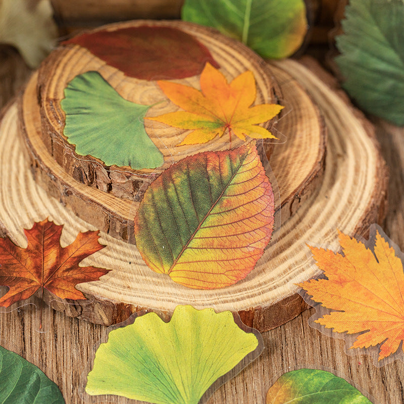 40 Pcs Pressed Leaf Stickers QDZY