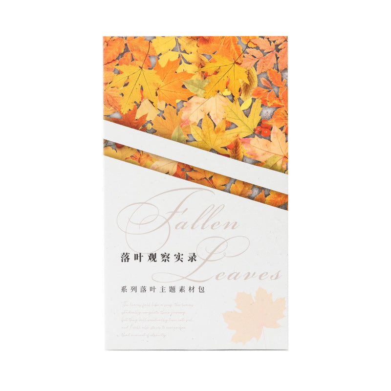 37 Pcs Leaf Theme Junk Jounral Paper and Stickers Kit LYGCSL