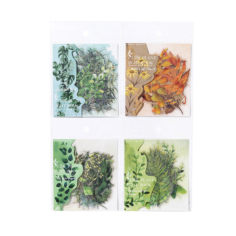 30 Pcs Leaf Theme PET Stickers ZWGB