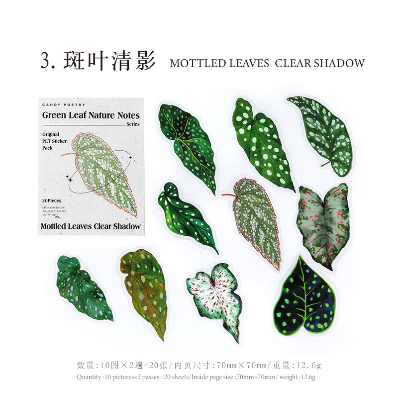20 Pcs Big Size Leaf Stickers LYZRSZ