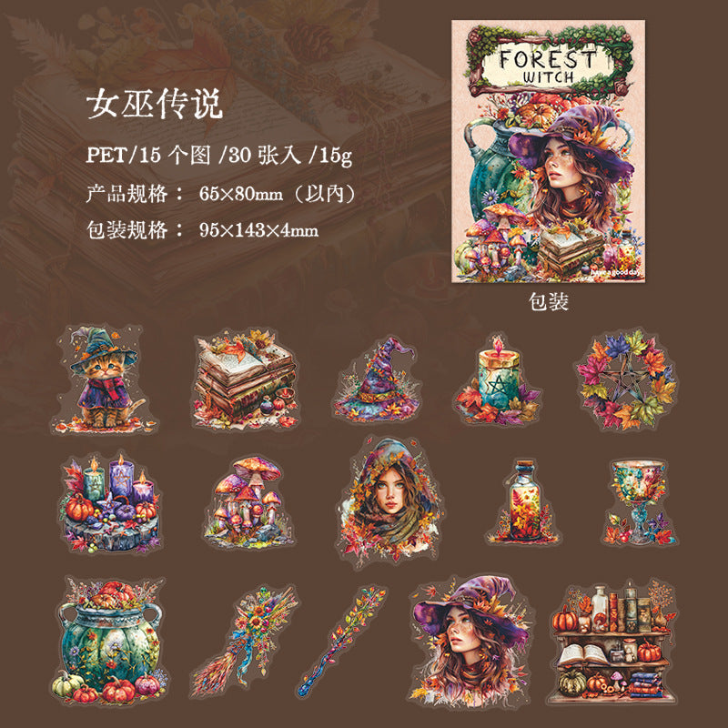 30 Pcs Magic Themed PET Stickers SLNW