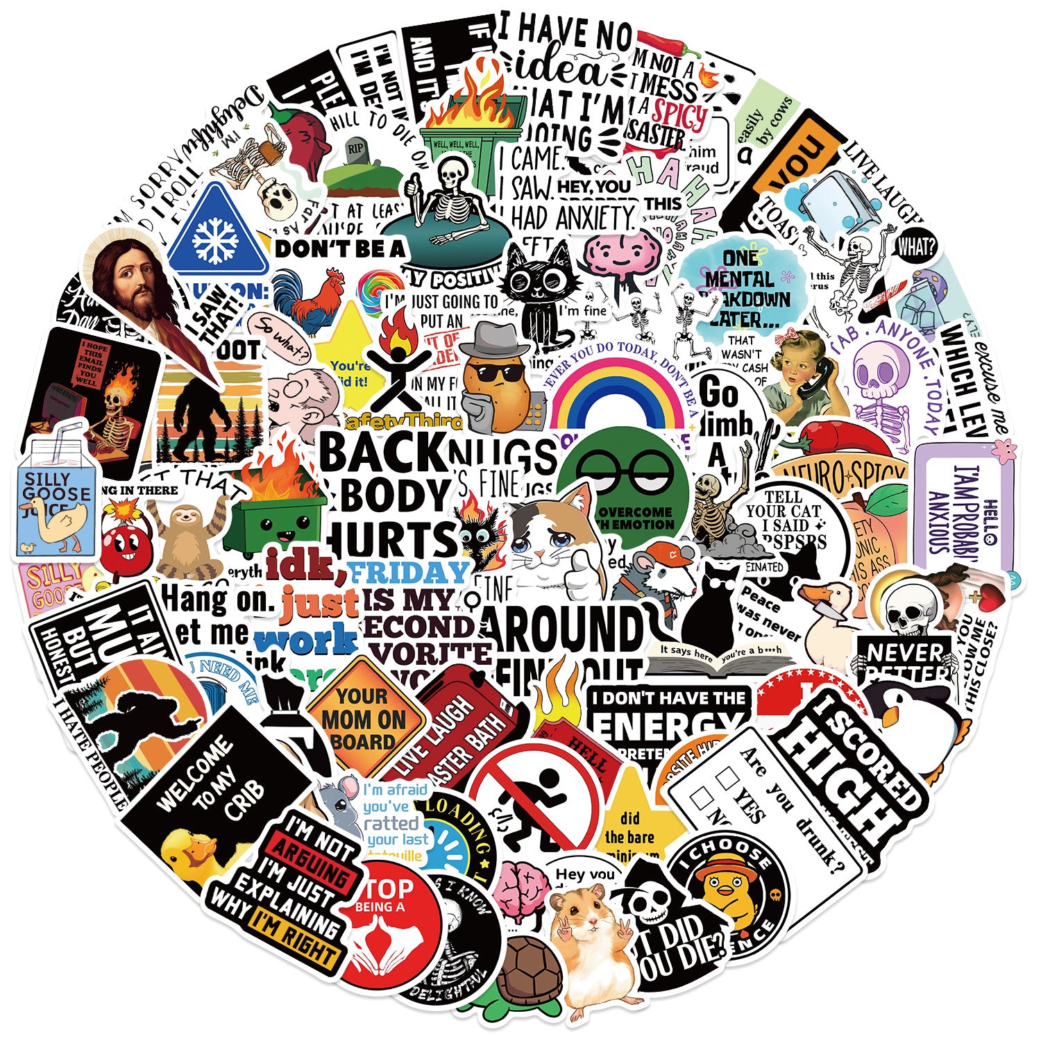 50PCS Funny Sarcastic Meme Vinyl Stickers FUN02