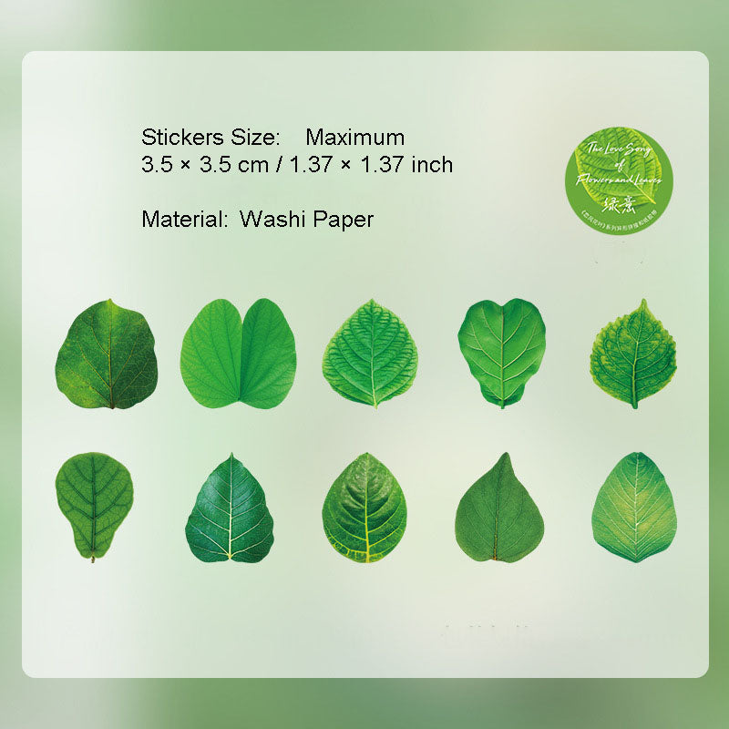 50 Pcs Petal Leaf Washi Stickers XXDLY