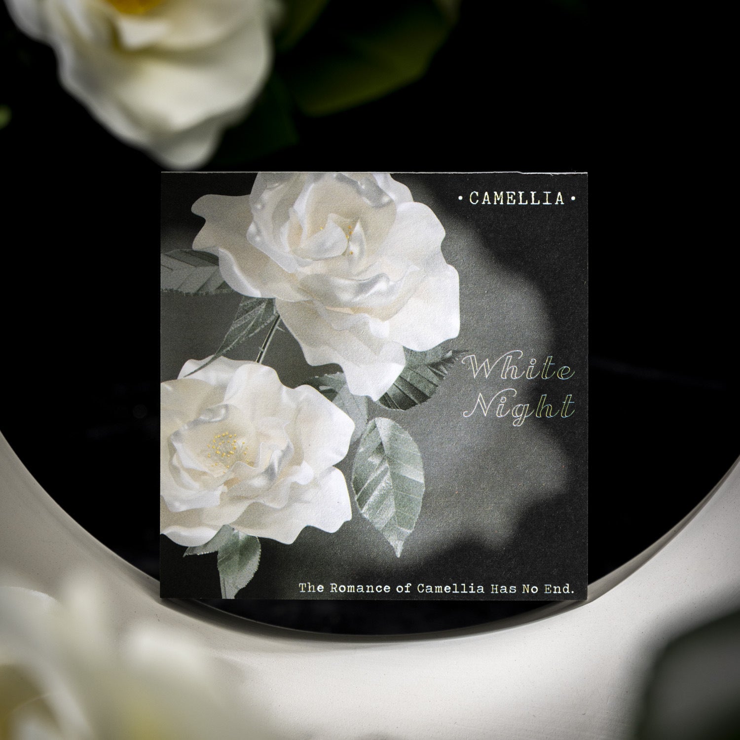 80 Pcs White Flower Notepad SCHX