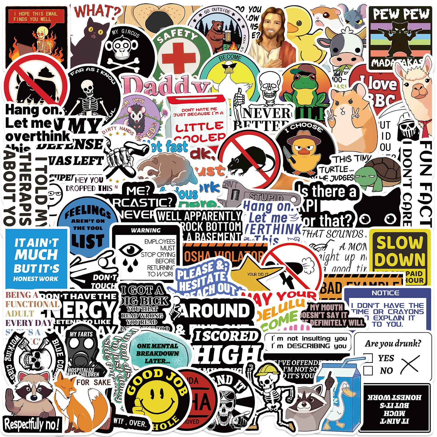 50PCS Funny Sarcastic Meme Vinyl Stickers FUN13