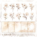 30 Pcs PET Stickers and Paper Journal Supplies HKDSH