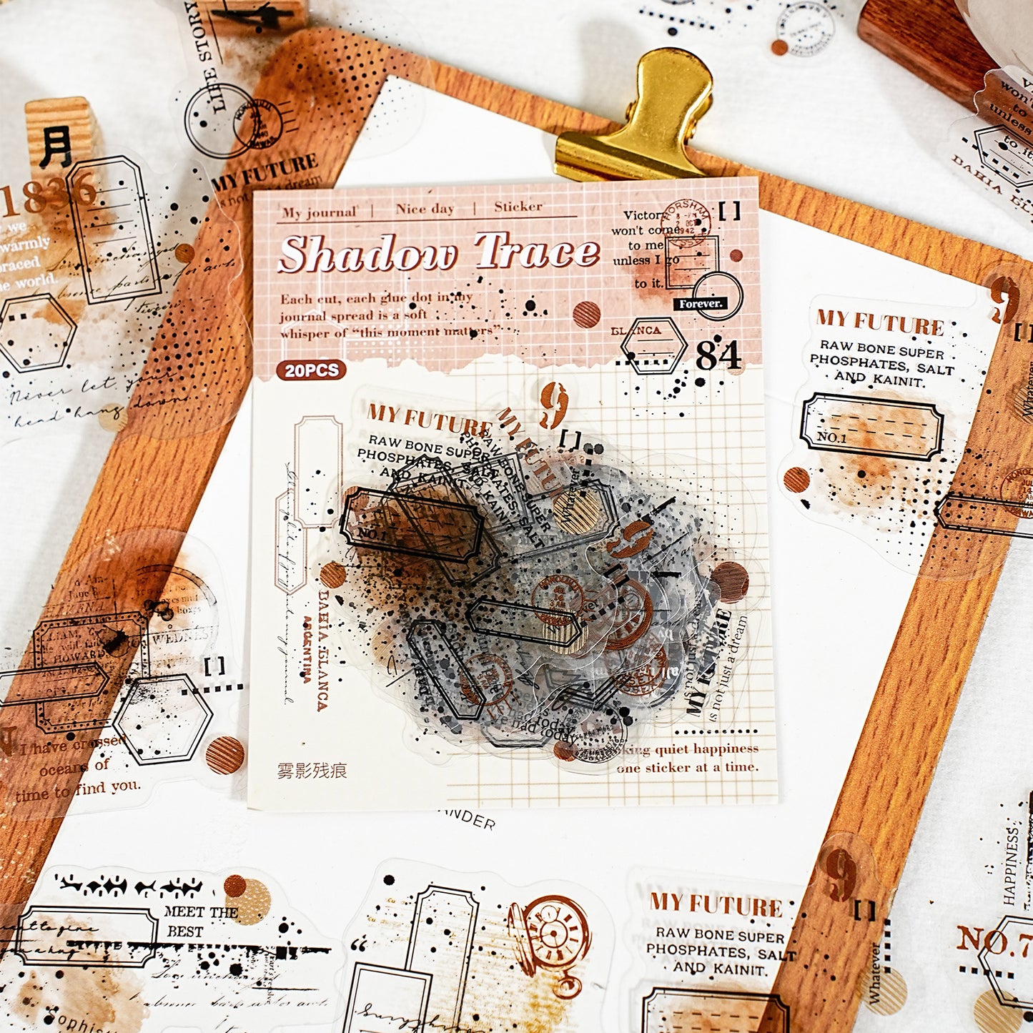 15 Pcs Vintage Collage PET Stickers WYCH