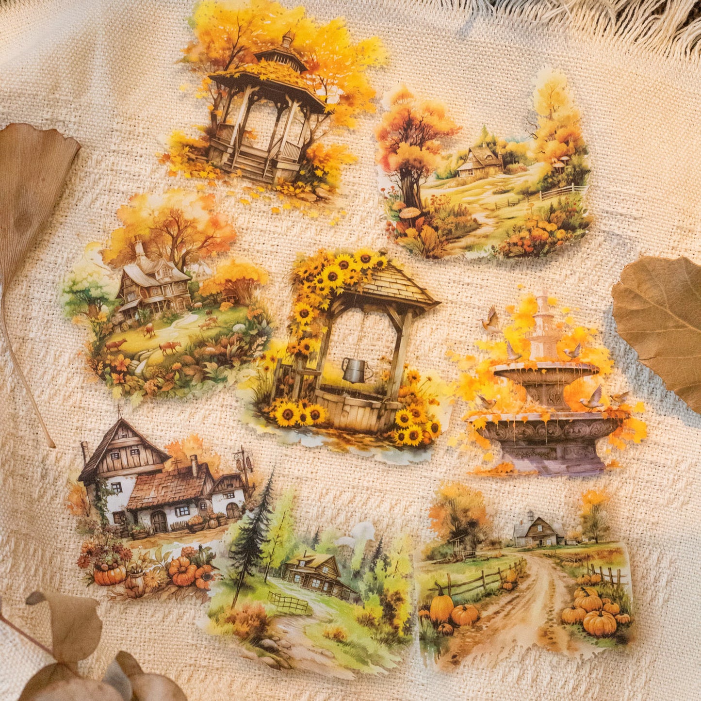 10 Pcs Autumn Harvest PET Stickers QYYX