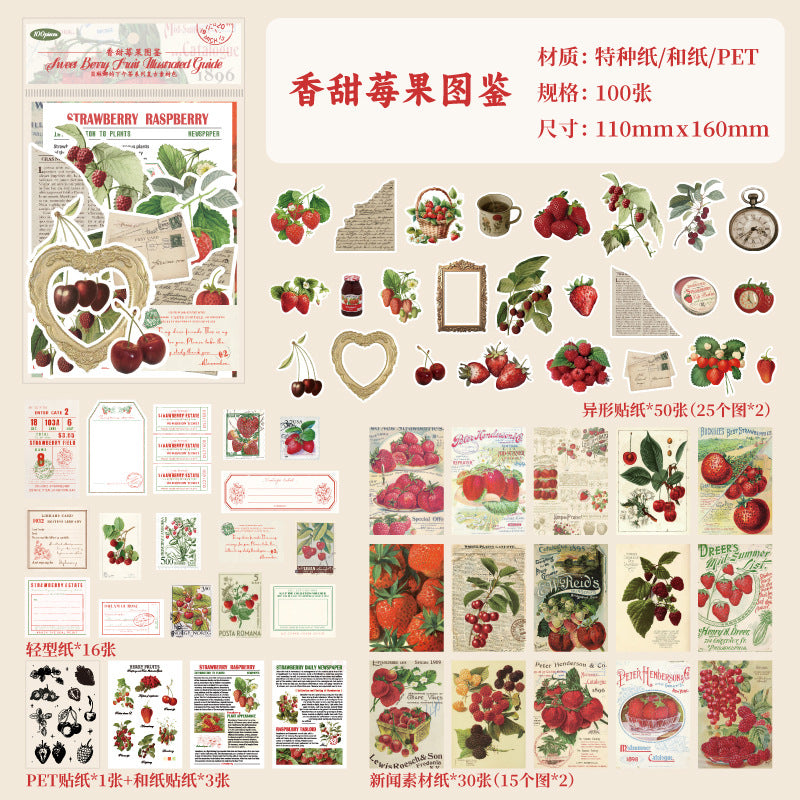 100 Pcs Junk Journal Supplies Kit BLNXWC