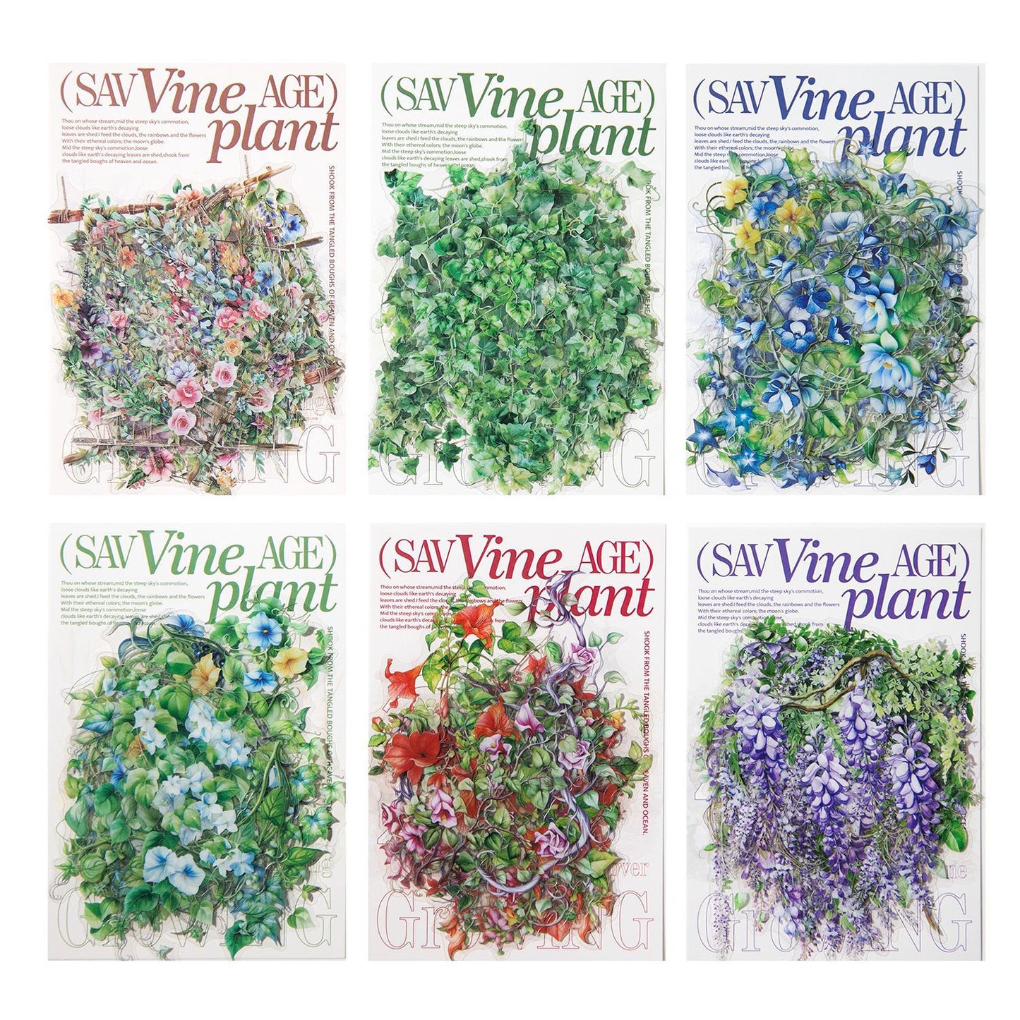 20 Pcs PET Vine Stickers YMSZ