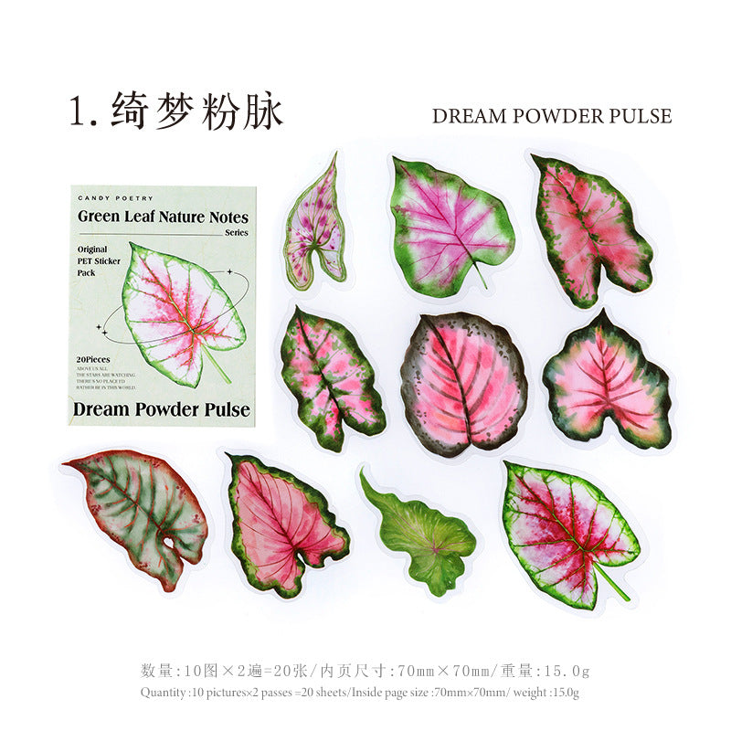 20 Pcs Big Size Leaf Stickers LYZRSZ