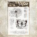 Clear Silicone Stamp STM535