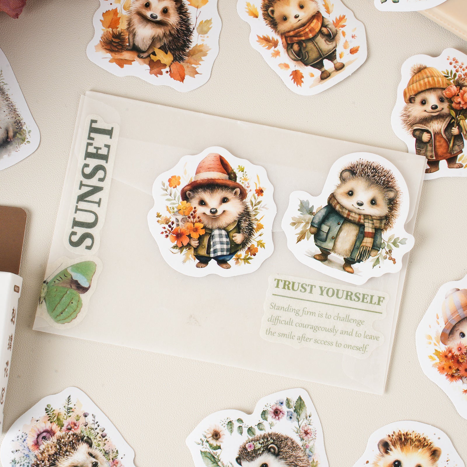 46 Pcs Hedgehog Stickers CWHJ