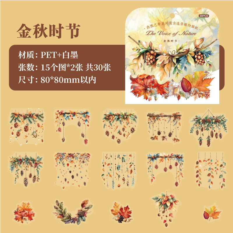 30 Pcs PET Flower Vine Stickers ZRZS