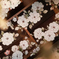 Floral Decorative Tape Rolls- Moonlight Eglantine