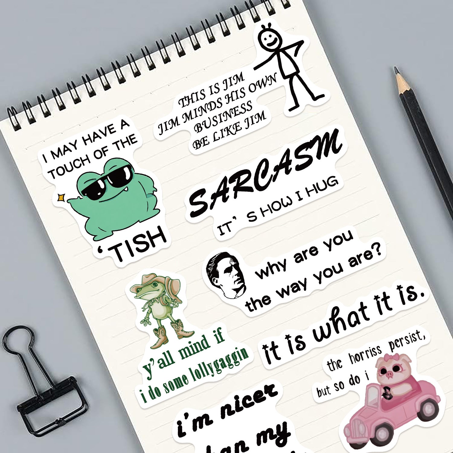 50PCS Funny Sarcastic Meme Vinyl Stickers FUN11