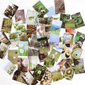 50 Pcs Forest Breeze Sticker Booklet