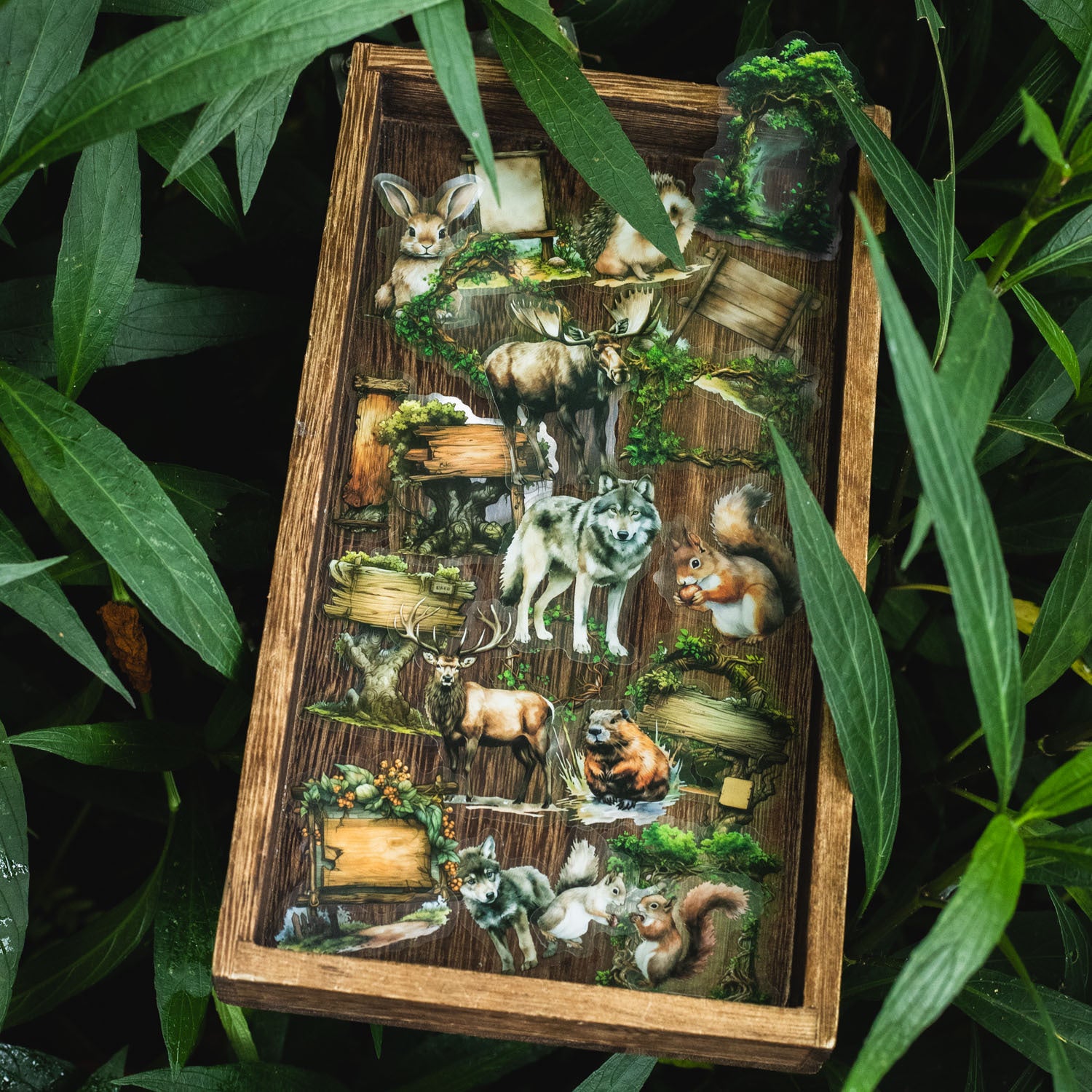 25 Pcs Forest Themed PET Stickers SLZJ