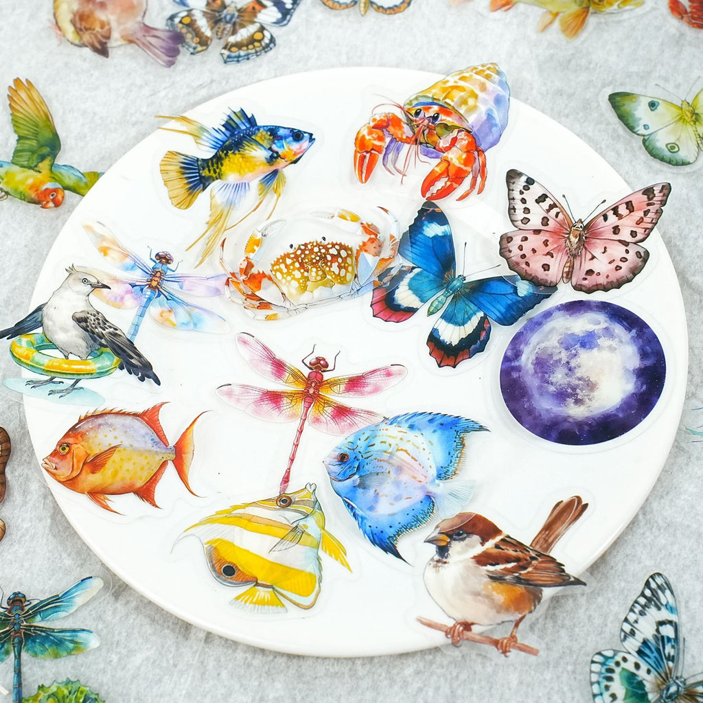 50 Pcs Nature Theme PET Stickers BLSJ