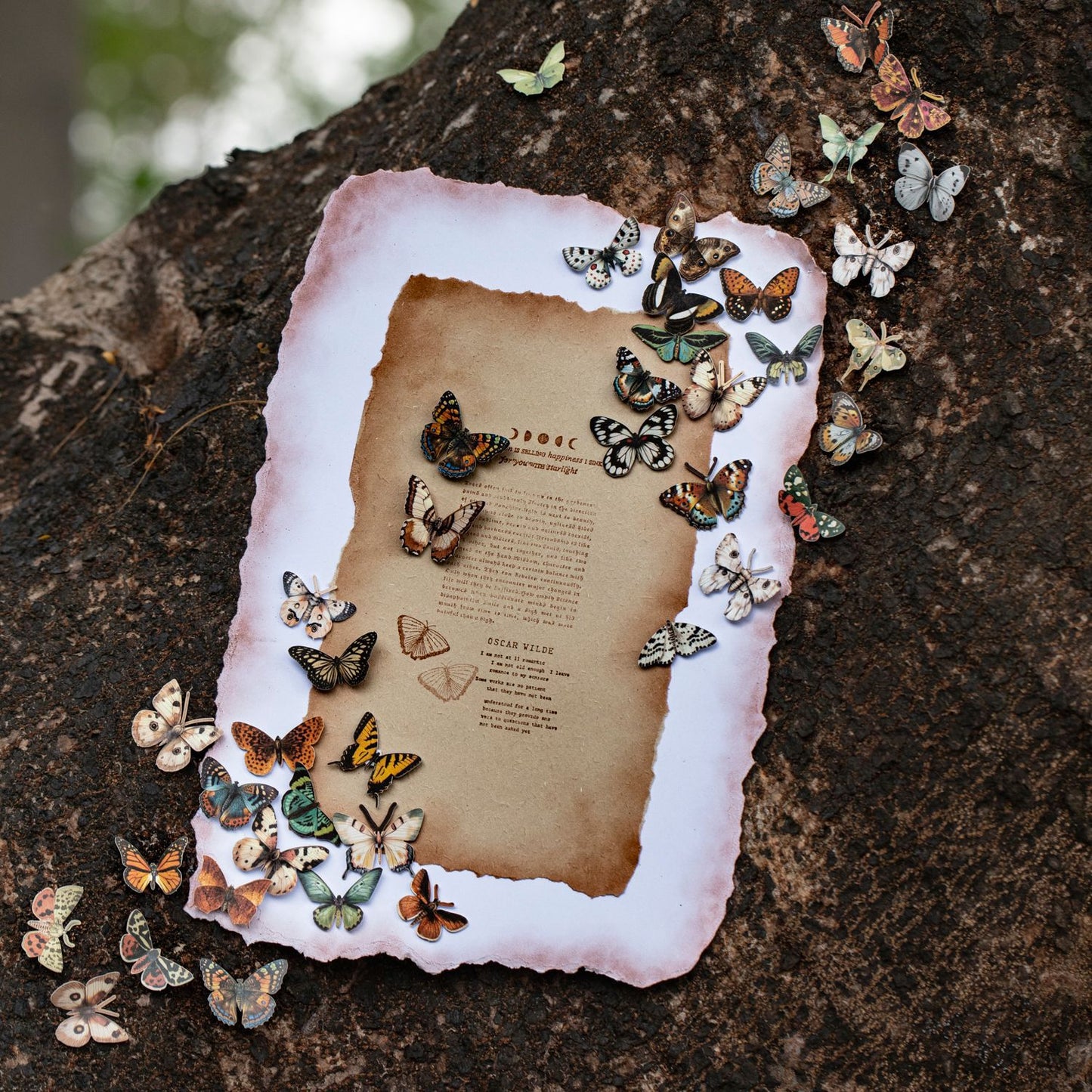 50 Pcs Vintage Butterfly Stickers PJZC