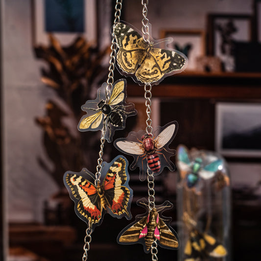 25 Pcs Insect PET Stickers KCBBTJ