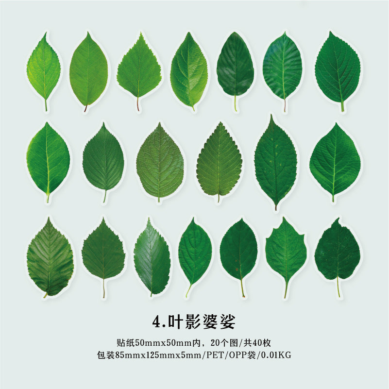 40 Pcs PET Leaf Stickers YZMY