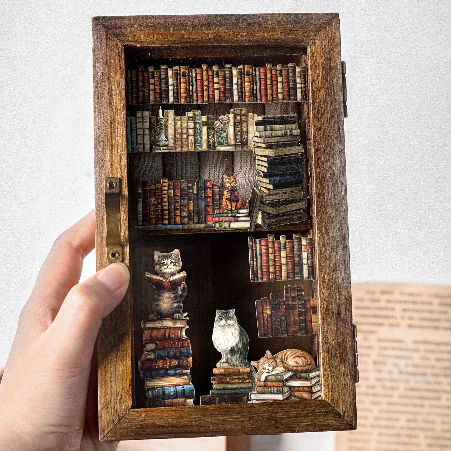 2 Sheets Reading Boolish Cardstock Stickers SJCLS