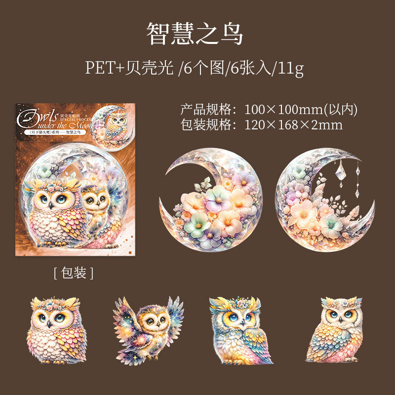 6 Pcs Owl Stickers YXMTY