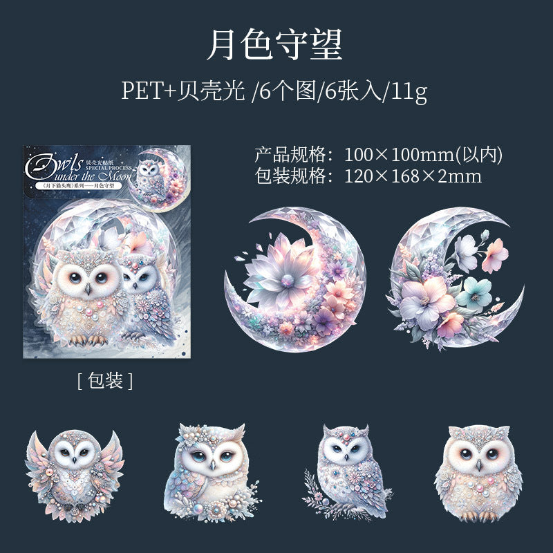 6 Pcs Owl Stickers YXMTY