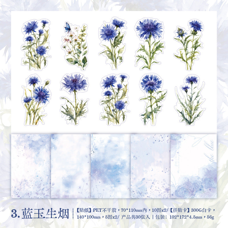 30 Pcs PET Stickers and Paper Journal Supplies HKDSH