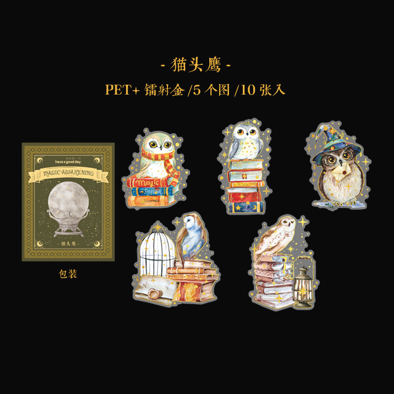 10 Pcs Magic Theme PET Stickers MFJX